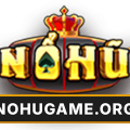 Hướng dẫn tân thủ Nohu